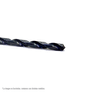 HCL08752-Cleveland