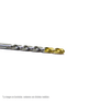 HCL80006-Cleveland