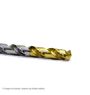HCL80024-Cleveland