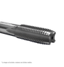 HCL54885-2