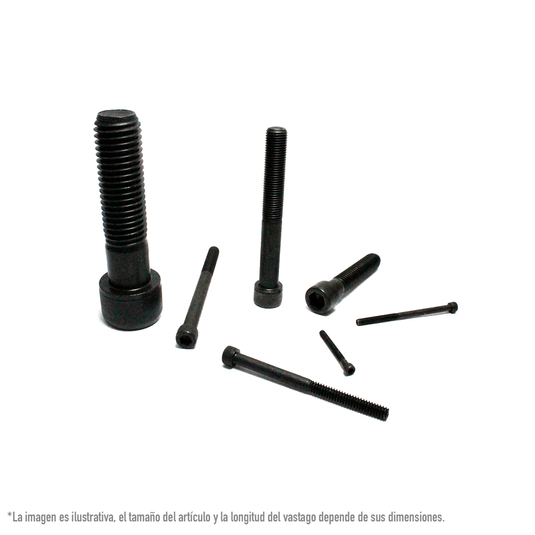 Junta Cisterna Roca DIN 433 Arandela Para Tornillo Cilíndrico · Torvigo Descargador Cisterna Roca