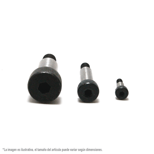 AG13019-AG