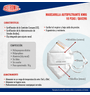 QAX295-CUBREBOCAS-AUSTROMEX