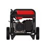 HPWG11300R-4.jpg