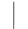 HBF0608305-Broca-Blue-force